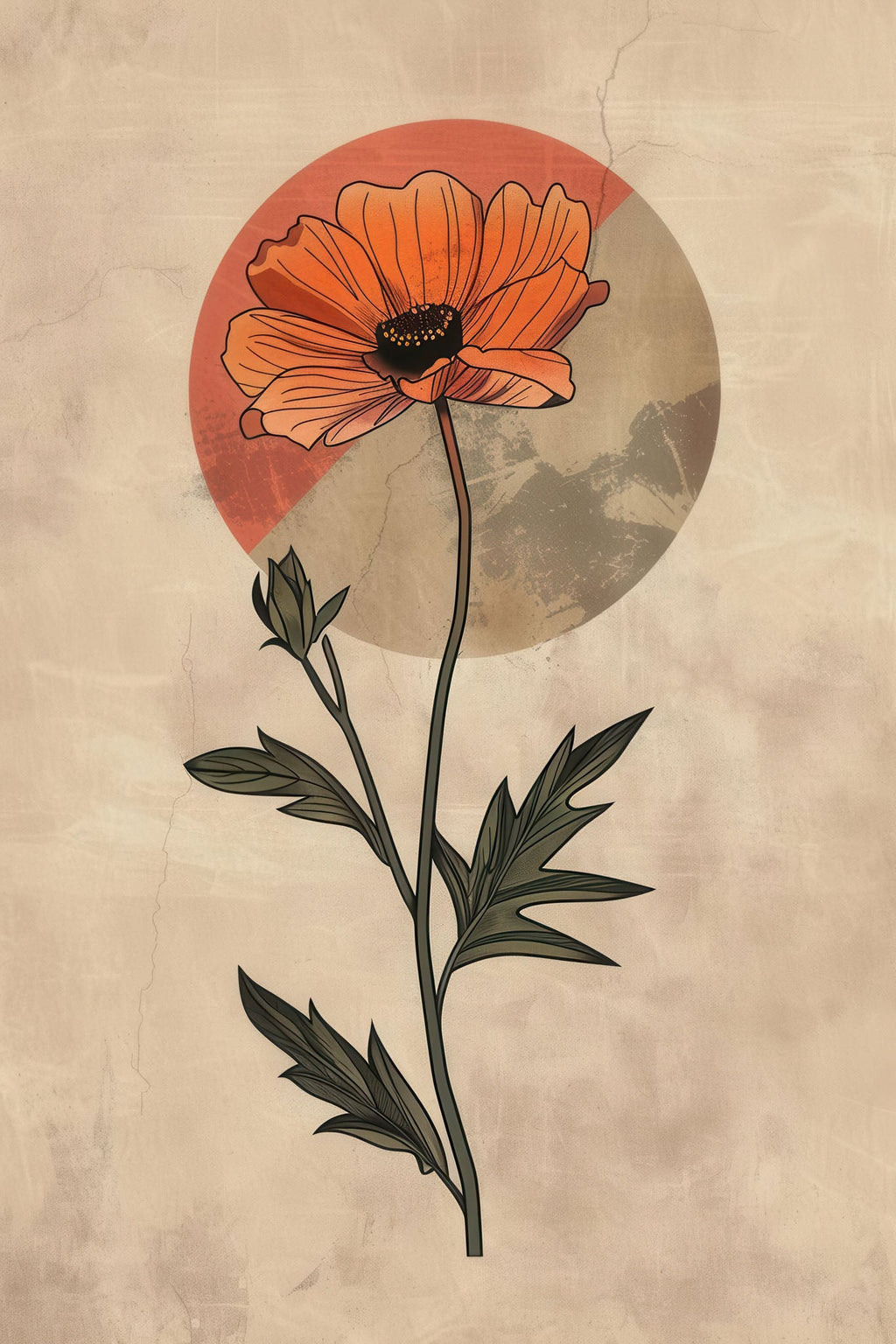 Botanical Poppy Flower Wall Art
