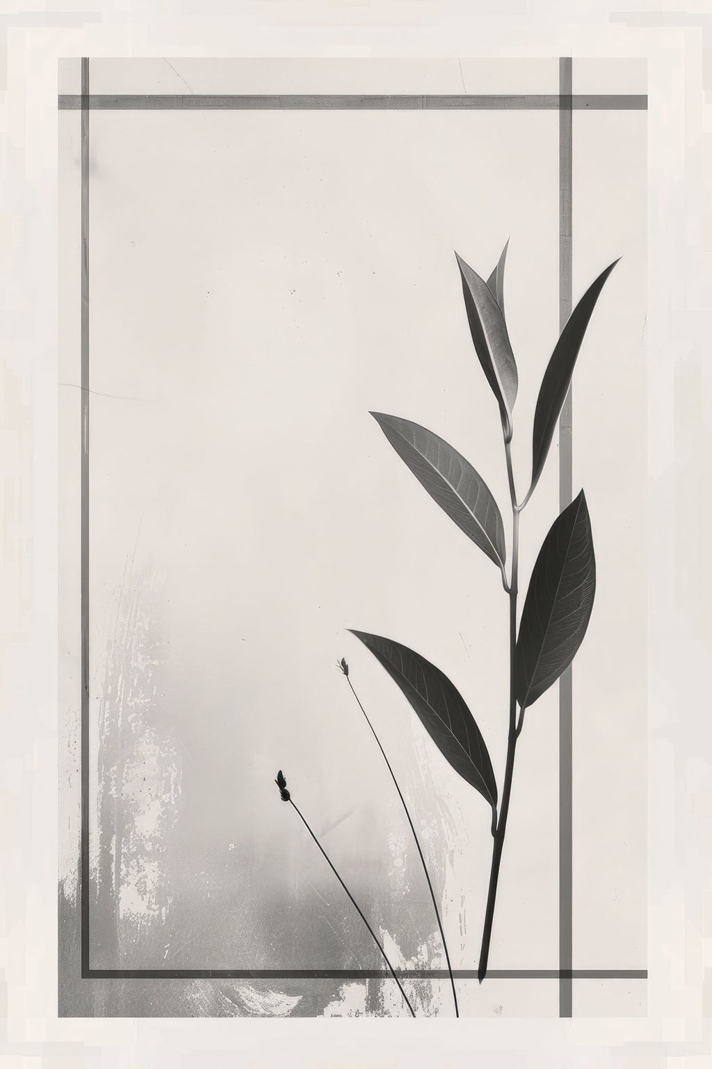 Botanical Line Art Framed Wall Art
