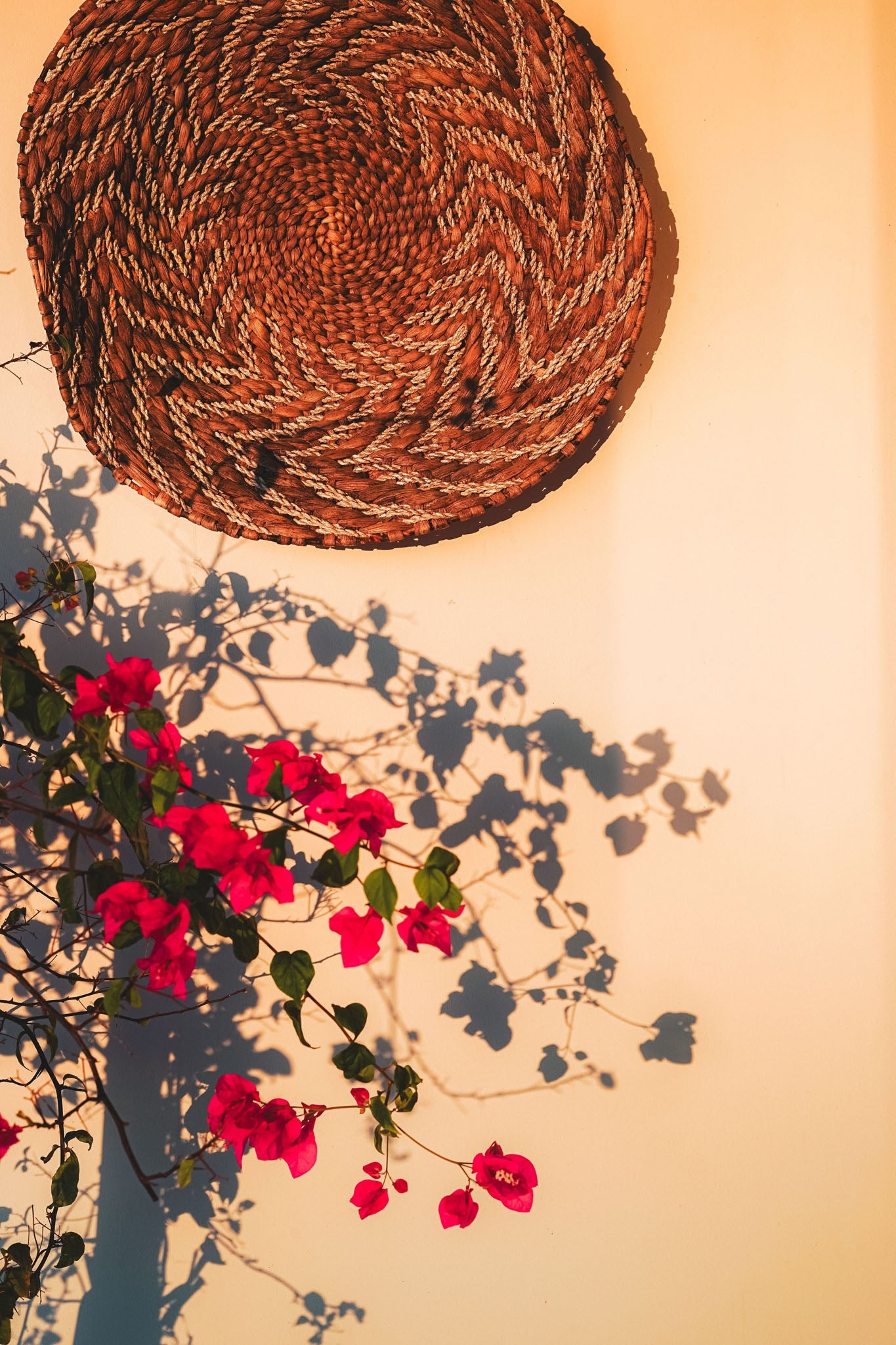Woven Basket And Bougainvillea Wall Art