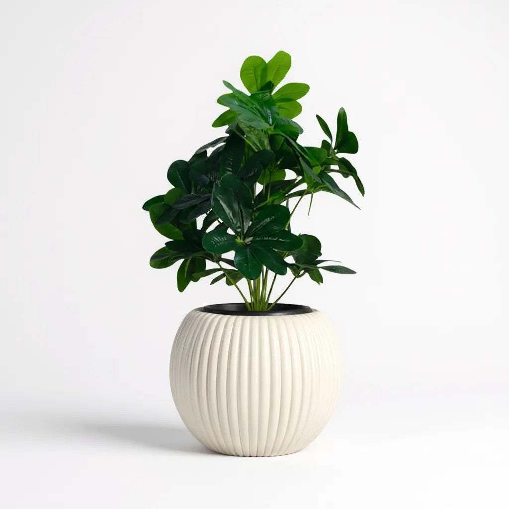 Artificial Rubber Plant in Textured Pot