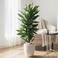 Green Ficus Artificial Plant