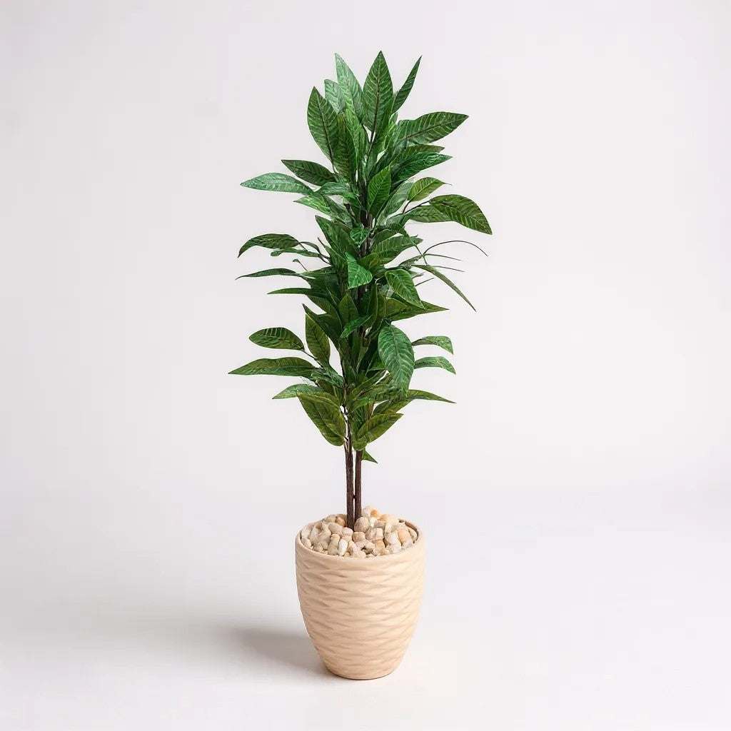 Artificial Broad Leaf Tree in Tall White Textured Pot