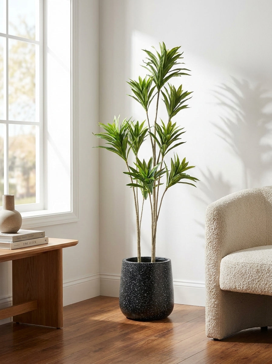 Artificial Dracaena Plant in Fiber Glass Pot