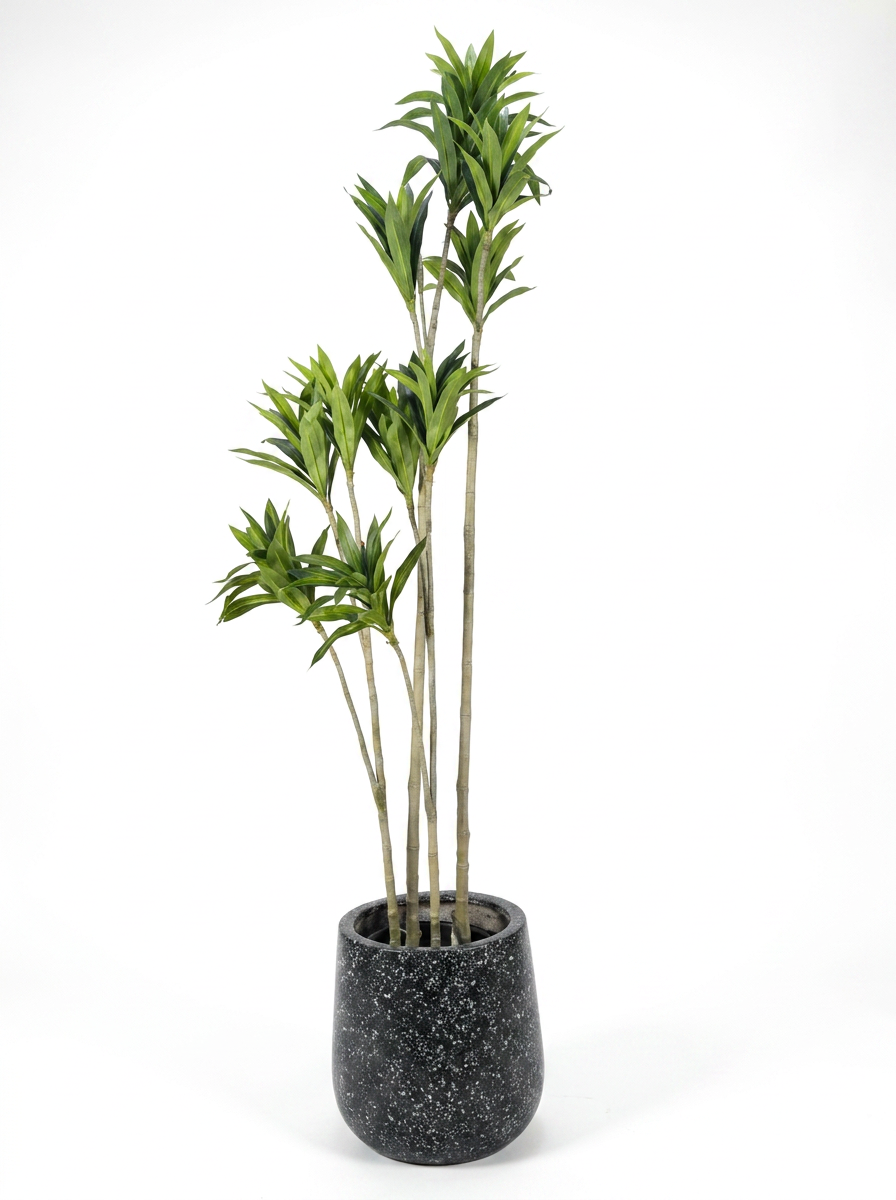 Artificial Dracaena Plant in Fiber Glass Pot