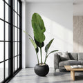 Large Faux Bird of Paradise Plant in Fluted Pot