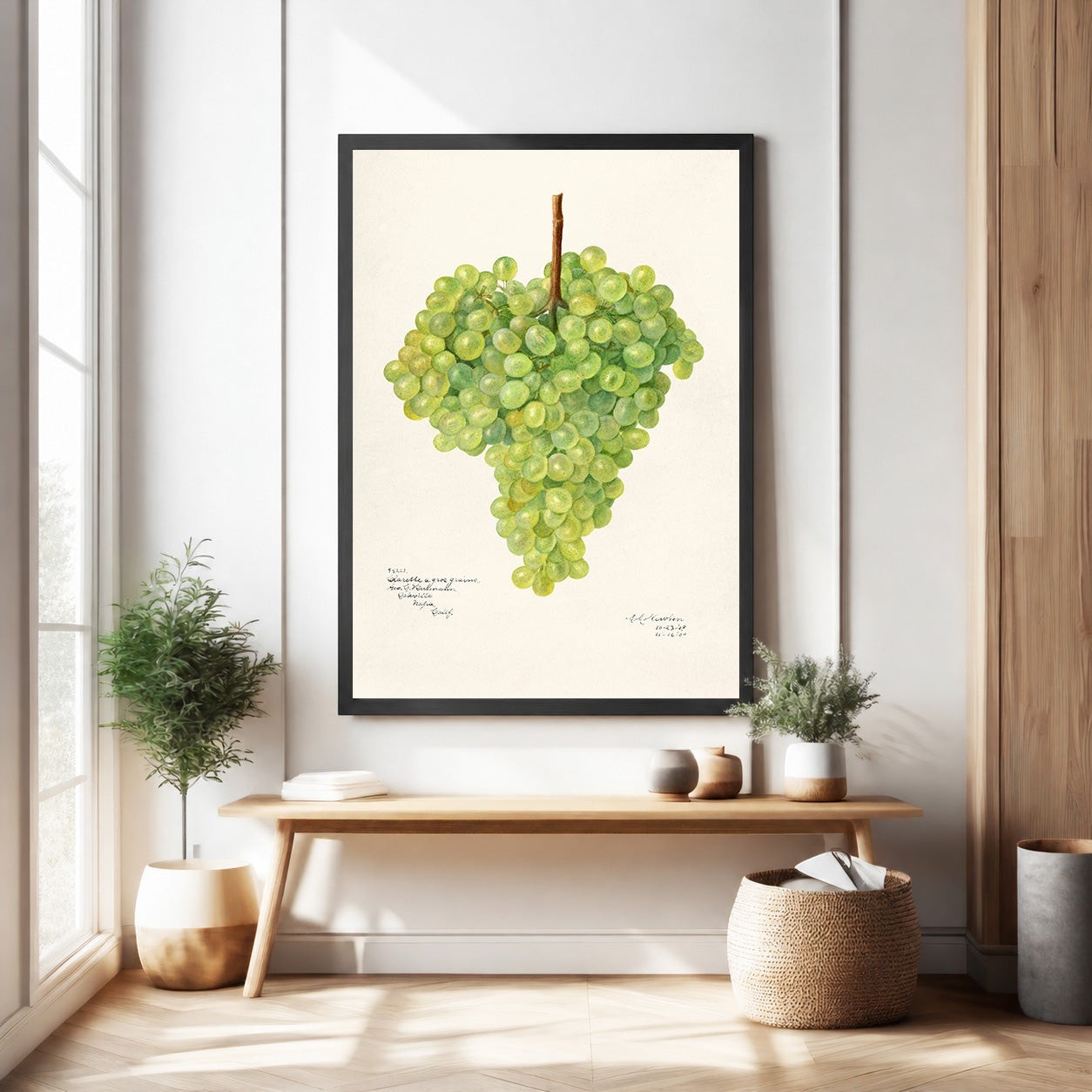 Botanical Grape Cluster Wall Art