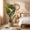 Large Fiddle Leaf Fig Artificial Plant