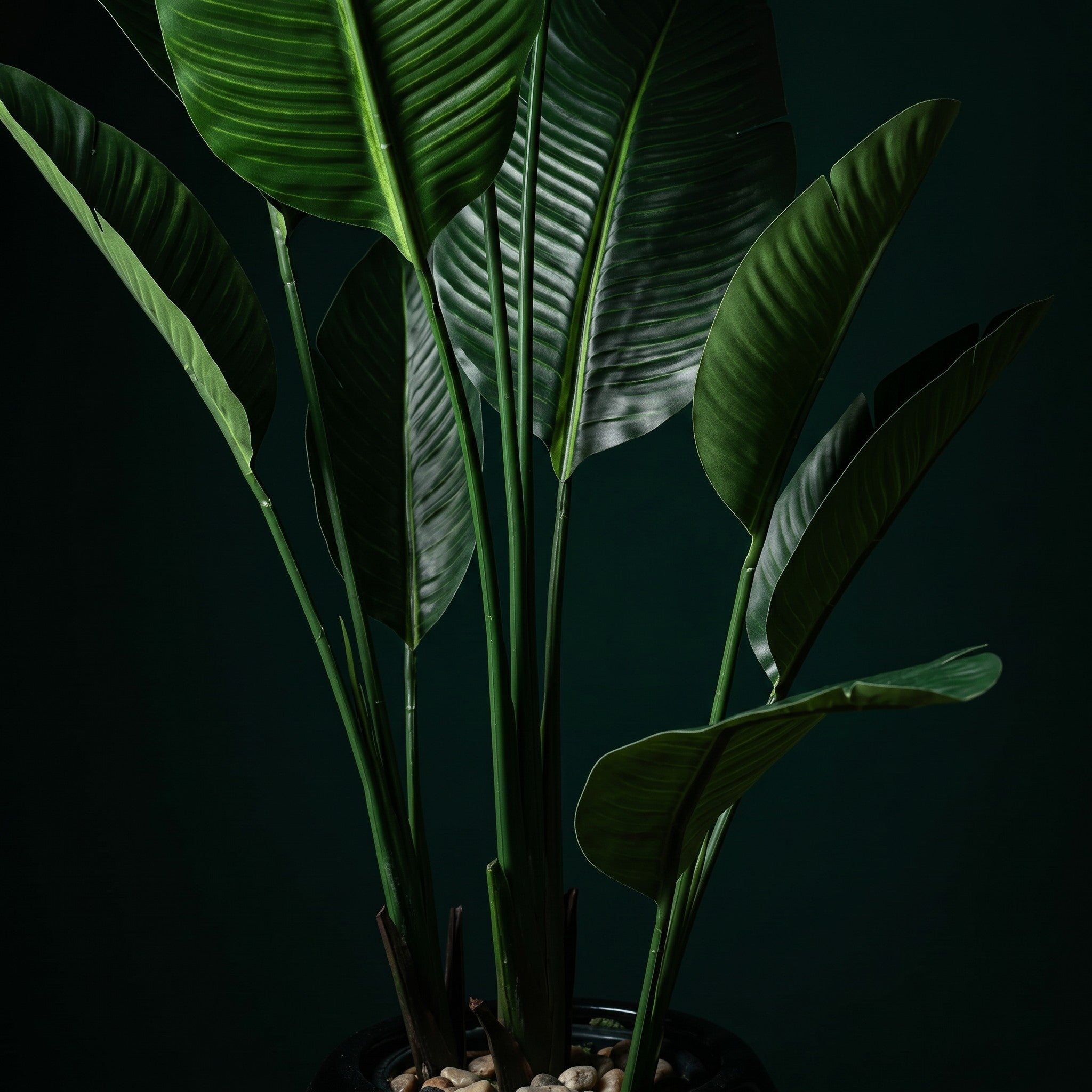 Large Bird of Paradise Artificial Plant in Fiberglass Pot