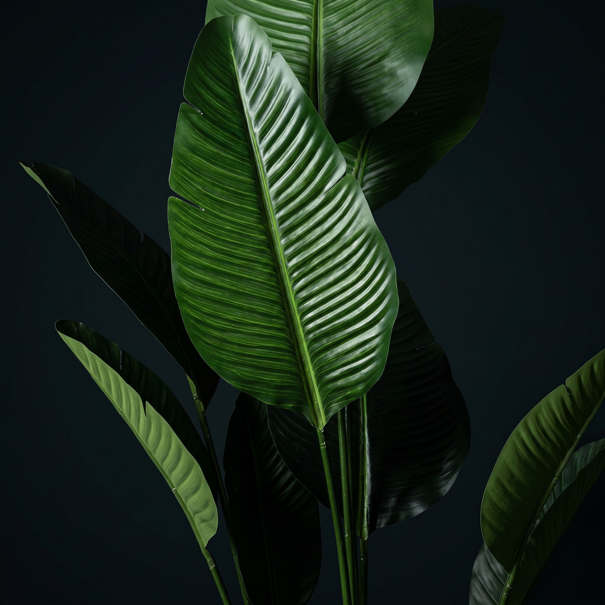 Large Bird Of Paradise Artificial Plant in Fiberglass Pot