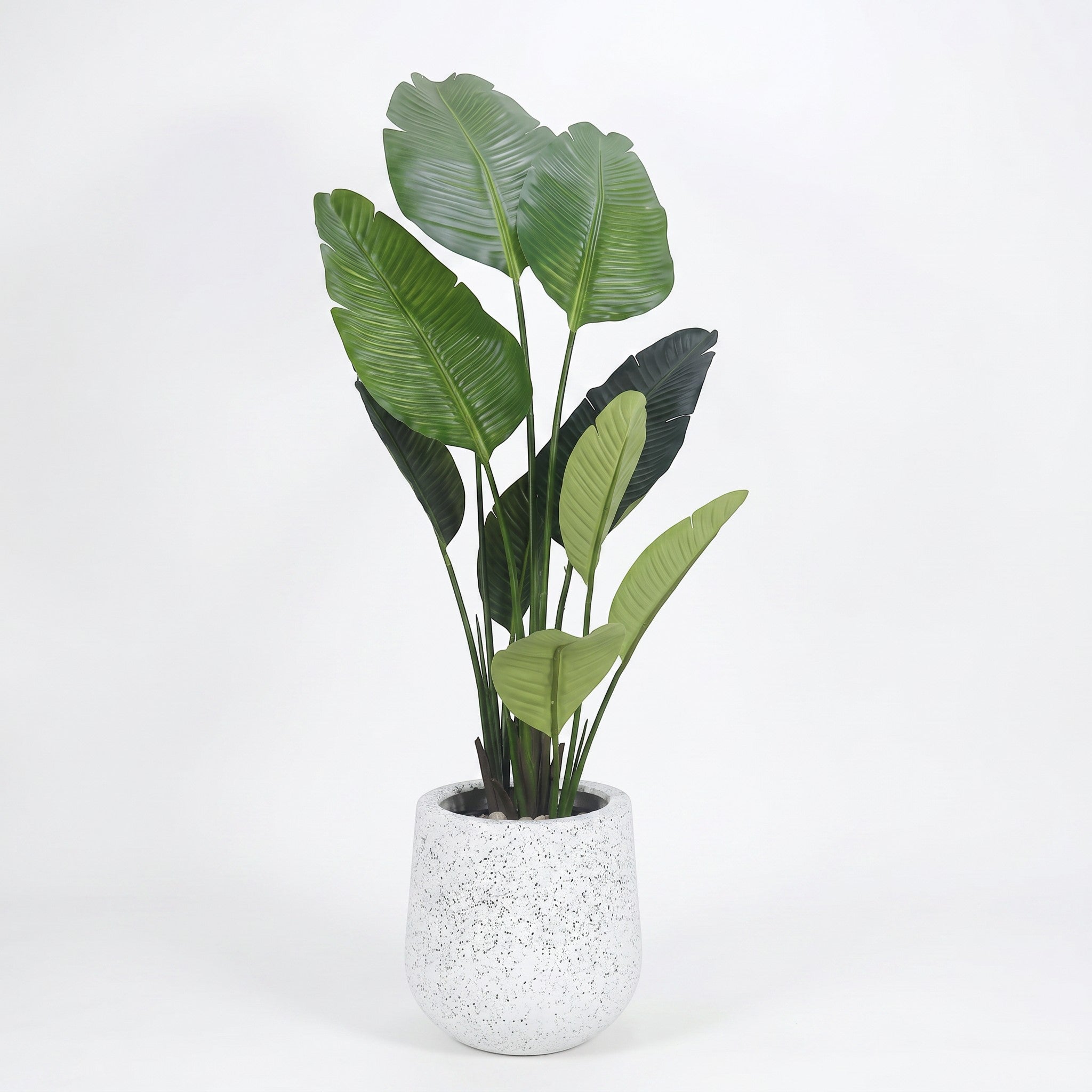 Large Bird of Paradise Artificial Plant in Fiberglass Pot