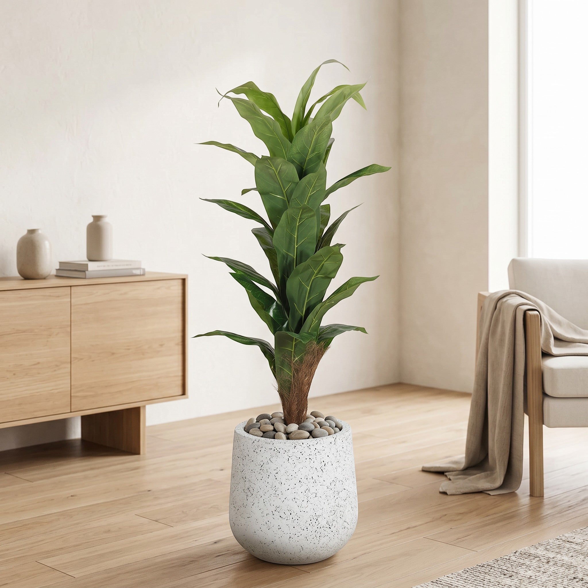 Large Fiddle Leaf Fig Tree in Fiber Glass Pot