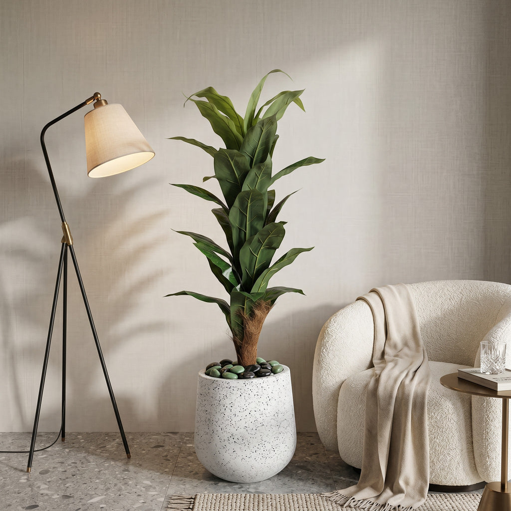 Large Fiddle Leaf Fig Tree in Fiber Glass Pot