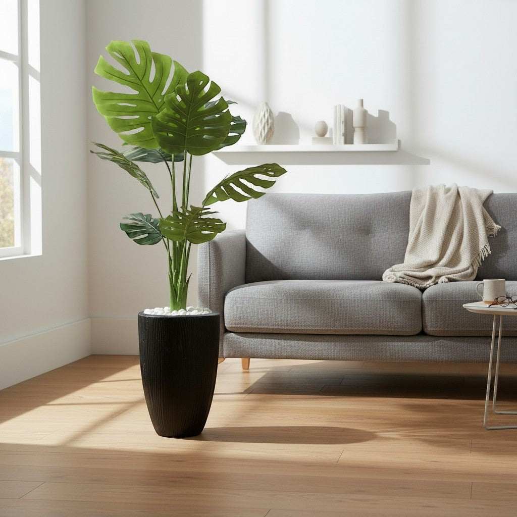 Large Monstera Plant In Textured Pot