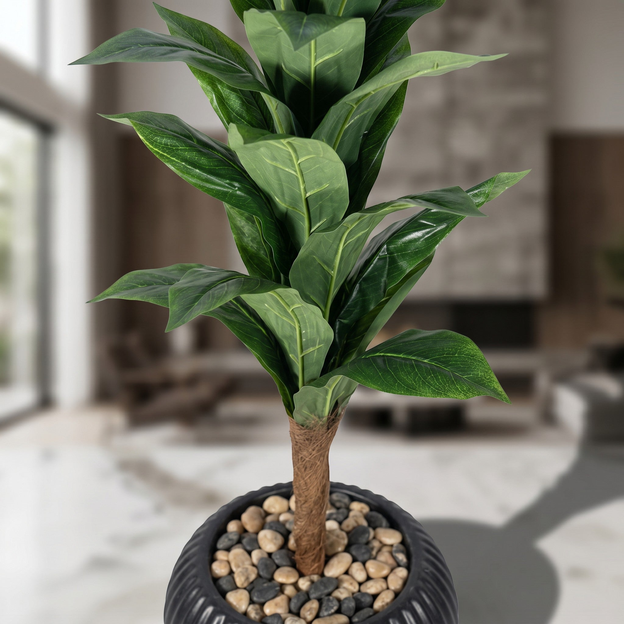 Tall Fiddle Leaf Fig Tree In Decorative Planter