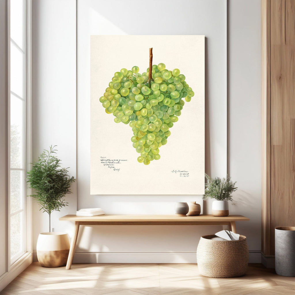 Botanical Grape Cluster Wall Art