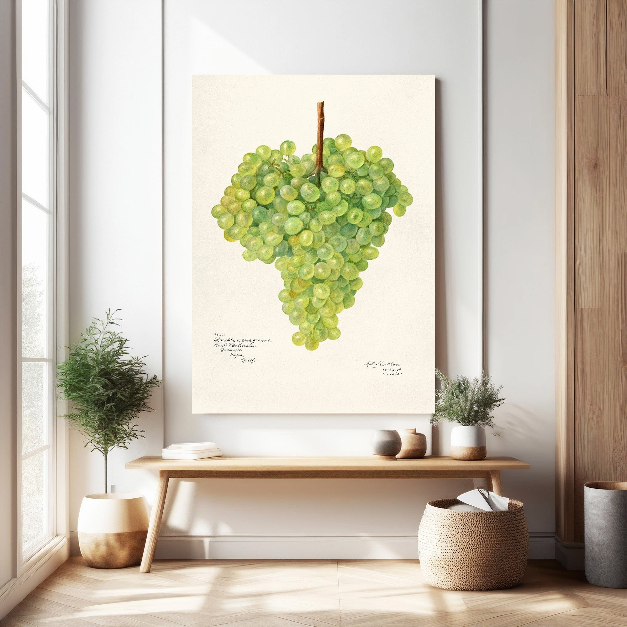 Botanical Grape Cluster Wall Art